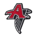 Atlanta Falcons Black/Red Embroidery Patch