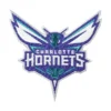 Charlotte Hornets Current Primary Team Purple Embroidery Patch