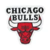 Chicago Bulls Primary Team Logo Red Embroidery Patch