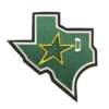 Dallas Stars State Team Logo Green Embroidery Patch