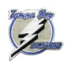 Tampa Bay Lightning 1992-2001 Team Logo White Embroidery Patch