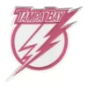 Tampa Bay Lightning Vintage 2007-10 Team Logo Pink Embroidery Patch