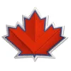 Toronto Maple Leafs 2009 Logo Red Embroidery Patch