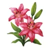 Flower Pink Lily Embroidery Patch