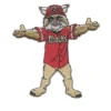 Arizona Diamondbacks Mascot patch