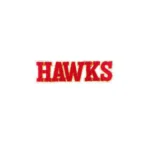 Atlanta Hawks "HAWKS" Wordmark Patch