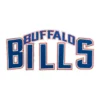 Buffalo Bills Vintage Red Bison Helmet Patch