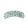 Charlotte Hornets BUZZ CITY Hexagon Patch