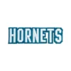 Charlotte Hornets HORNETS Letter Patch