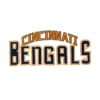Cincinnati Bengals Layered Block Letter Patch