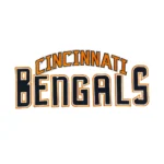 Cincinnati Bengals Layered Block Letter Patch