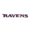 Baltimore Ravens Primary Wordmark Embroidered Patch