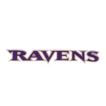 Baltimore Ravens Primary Wordmark Embroidered Patch
