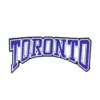 Toronto Maple Leafs TORONTO Arched Wordmark Patch