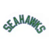 Seattle Seahawks Arch Blue/Green Embroidered Patch